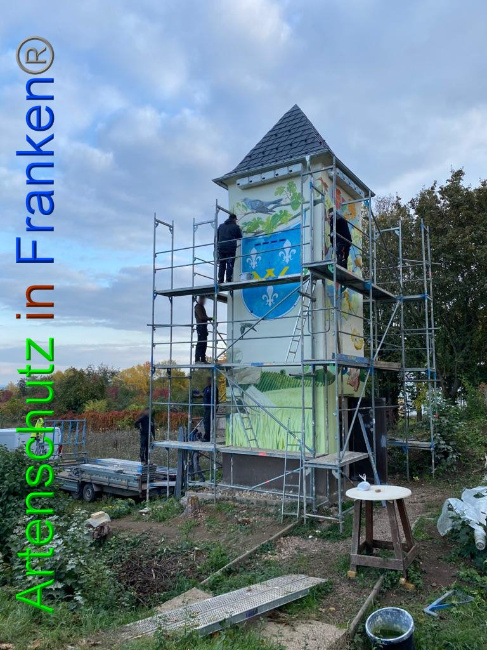 © Artenschutz in Franken®/ Keber Bild zum Eintrag (1035725-160)