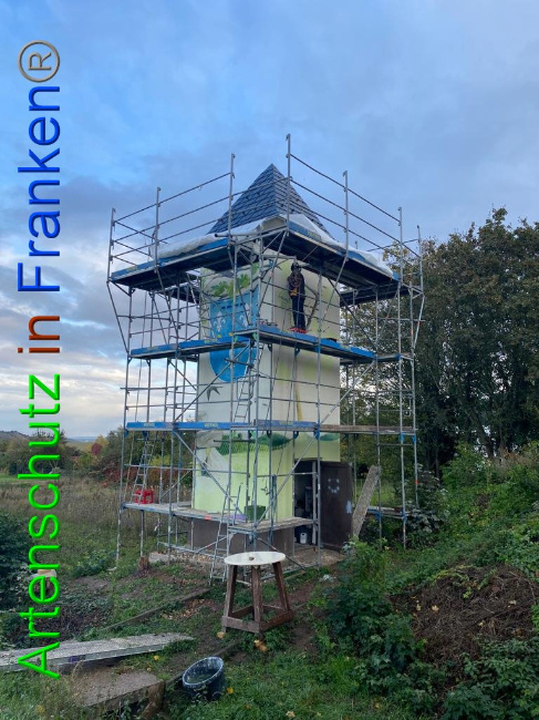 © Artenschutz in Franken®/ Keber Bild zum Eintrag (1035728-160)