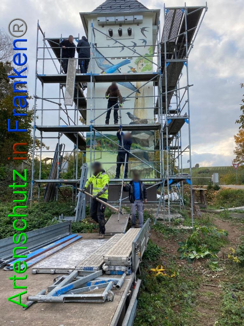 © Artenschutz in Franken®/ Keber Bild zum Eintrag (1035729-160)