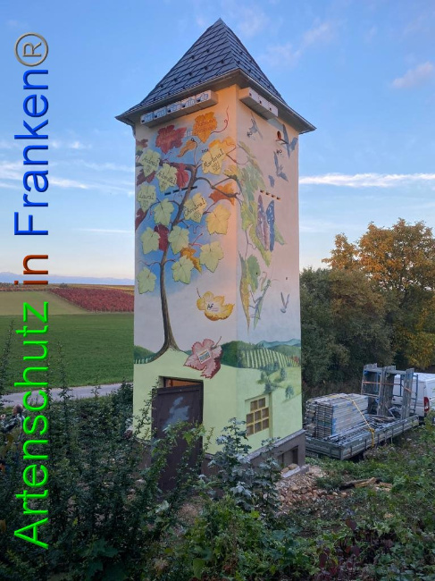 © Artenschutz in Franken® / Keber Bild zum Eintrag (1035737-160)