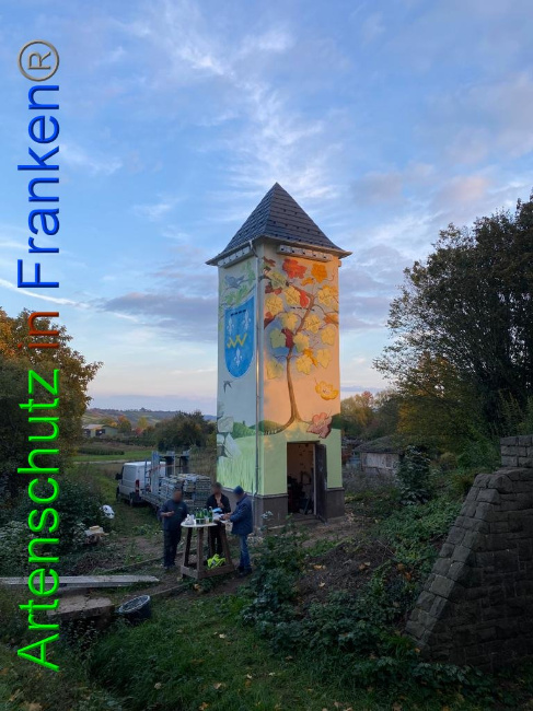 © Artenschutz in Franken® / Keber Bild zum Eintrag (1035738-160)
