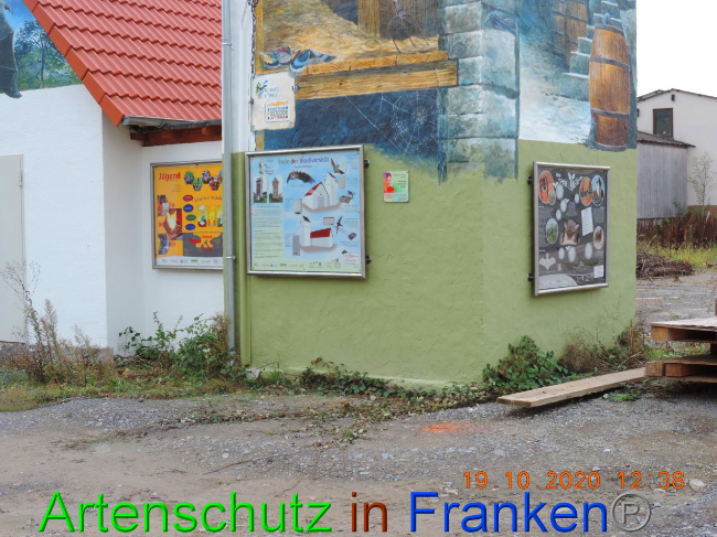 © Artenschutz in Franken® / Harms - Janssen Bild zum Eintrag (1035949-160)