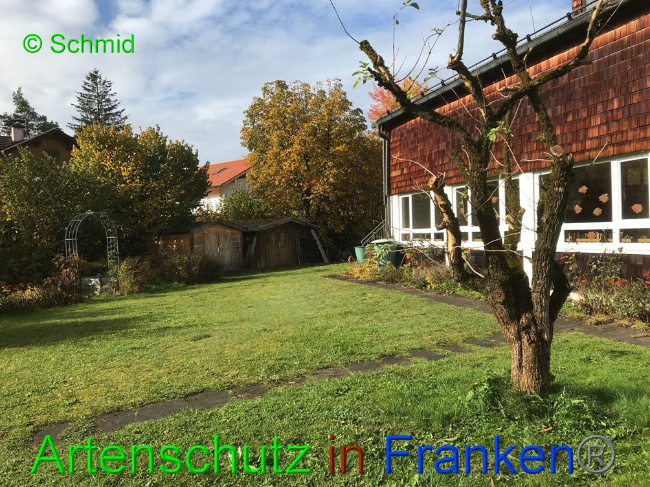 Bild zum Eintrag (1036264-160)