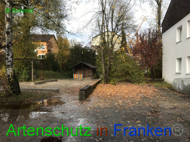 Bild zum Eintrag (1036265-160)