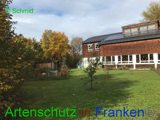 Bild zum Eintrag (1036274-160)