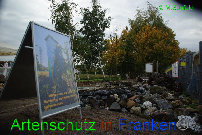 © Artenschutz in Franken® / Sonfeld Bild zum Eintrag (1036297-160)
