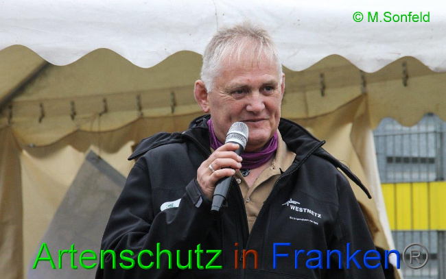 © Artenschutz in Franken® / Sonfeld Bild zum Eintrag (1036303-160)