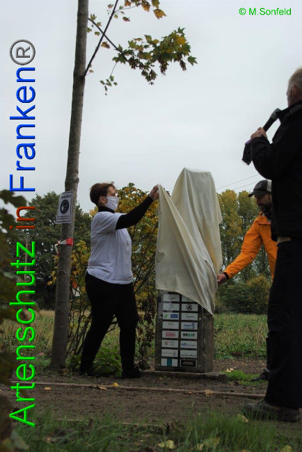 © Artenschutz in Franken® / Sonfeld Bild zum Eintrag (1036336-160)