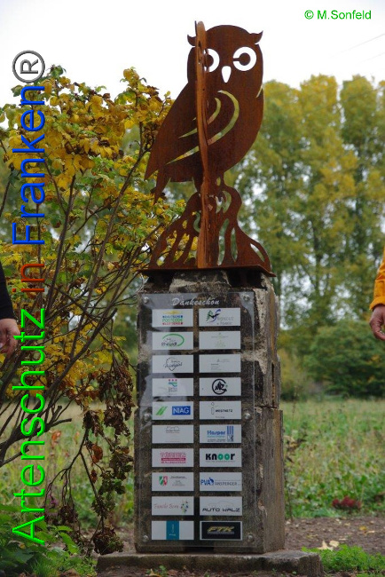 © Artenschutz in Franken® / Sonfeld Bild zum Eintrag (1036337-160)