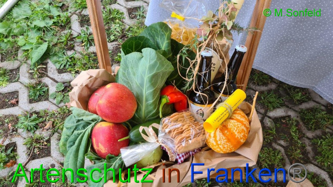 © Artenschutz in Franken® / Sonfeld Bild zum Eintrag (1036346-160)
