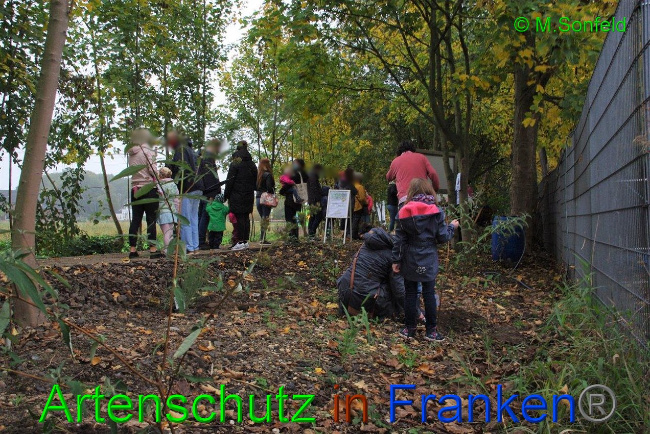 © Artenschutz in Franken® / Sonfeld Bild zum Eintrag (1036351-160)