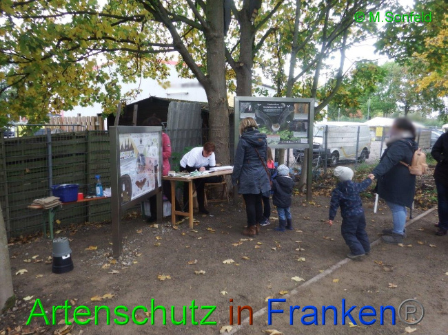© Artenschutz in Franken® / Sonfeld Bild zum Eintrag (1036352-160)