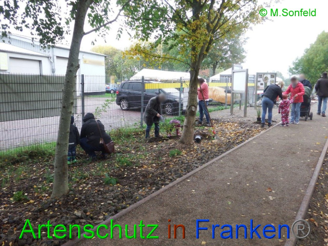 © Artenschutz in Franken® / Sonfeld Bild zum Eintrag (1036361-160)