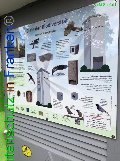 © Artenschutz in Franken® Bild zum Eintrag (1036370-160)
