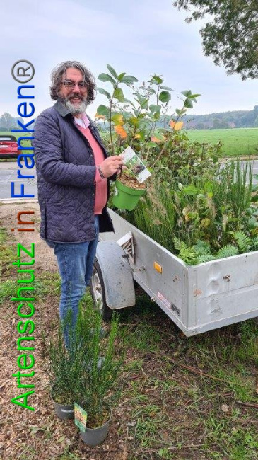 © Artenschutz in Franken® / Sonfeld Bild zum Eintrag (1036379-160)