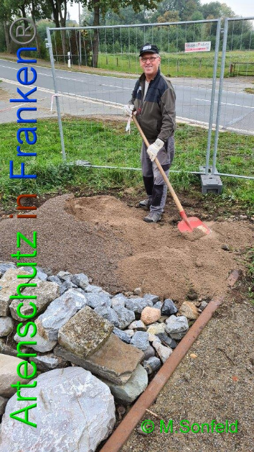 © Artenschutz in Franken® / Sonfeld Bild zum Eintrag (1036385-160)