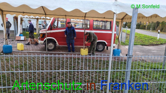 © Artenschutz in Franken® / Sonfeld Bild zum Eintrag (1036390-160)