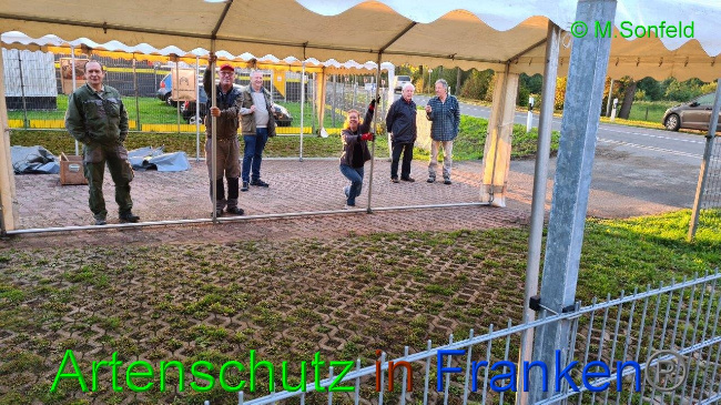© Artenschutz in Franken® / Sonfeld Bild zum Eintrag (1036391-160)