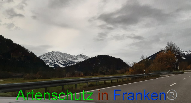© Artenschutz in Franken® Bild zum Eintrag (1036522-160)