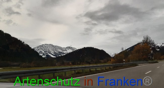 Bild zum Eintrag (1036522-160)