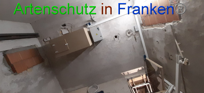 © Artenschutz in Franken® Bild zum Eintrag (1036530-160)