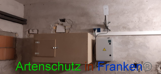 © Artenschutz in Franken® Bild zum Eintrag (1036531-160)