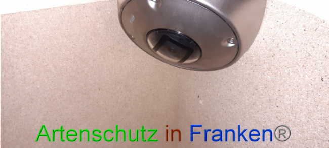 © Artenschutz in Franken® Bild zum Eintrag (1036533-160)