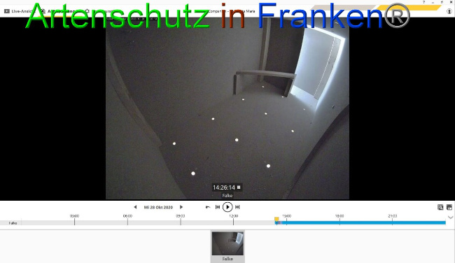 © Artenschutz in Franken® Bild zum Eintrag (1036537-160)