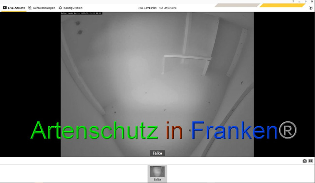 © Artenschutz in Franken® Bild zum Eintrag (1036538-160)