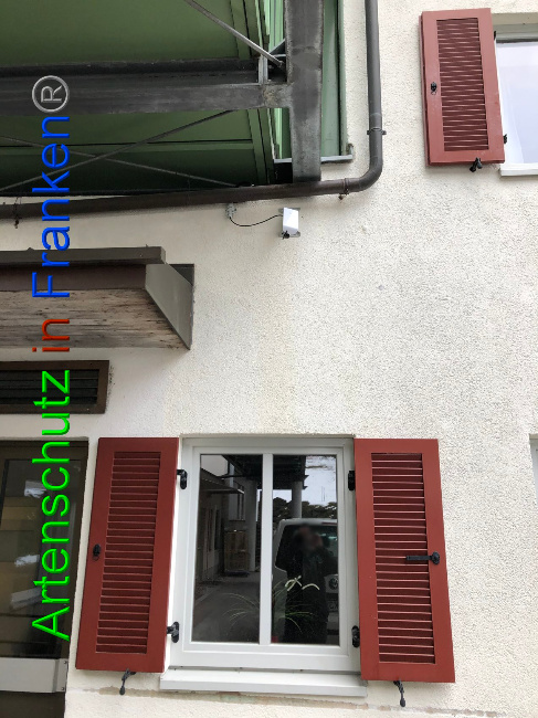 © Artenschutz in Franken® Bild zum Eintrag (1036543-160)