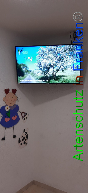 © Artenschutz in Franken® Bild zum Eintrag (1036548-160)