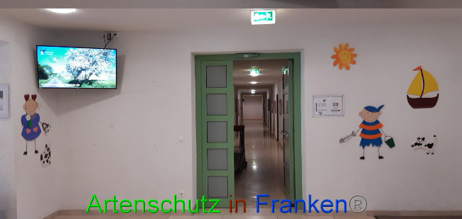 © Artenschutz in Franken® Bild zum Eintrag (1036549-160)