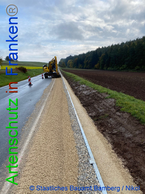 © Artenschutz in Franken® Bild zum Eintrag (1036850-160)