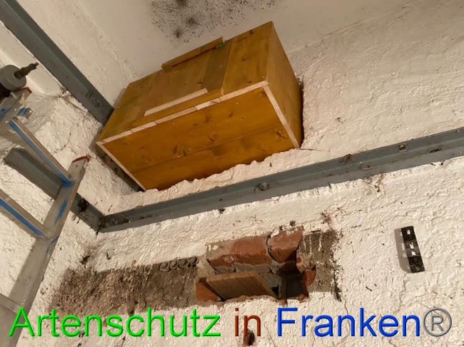 © Artenschutz in Franken® / Keber Bild zum Eintrag (1036937-160)
