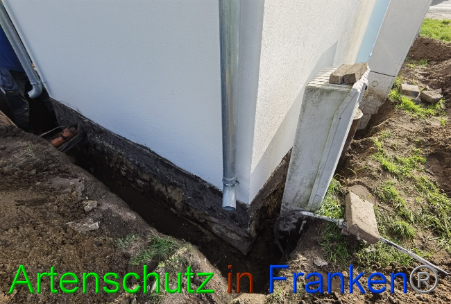 © Artenschutz in Franken® / Vennemann Bild zum Eintrag (1037006-160)