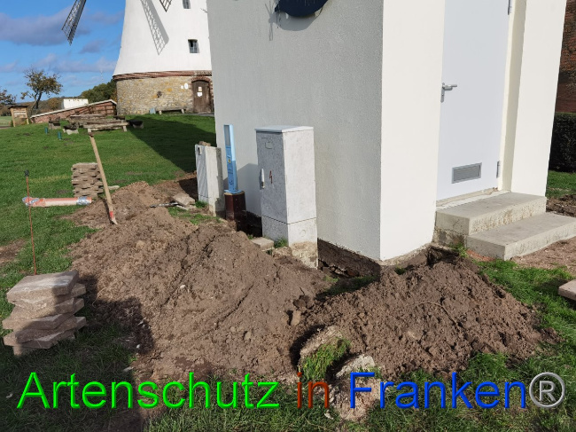 © Artenschutz in Franken® / Vennemann Bild zum Eintrag (1037007-160)