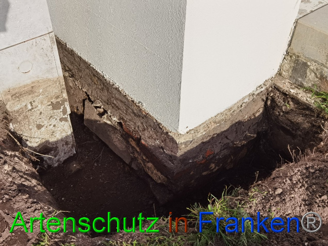 © Artenschutz in Franken® / Vennemann Bild zum Eintrag (1037008-160)