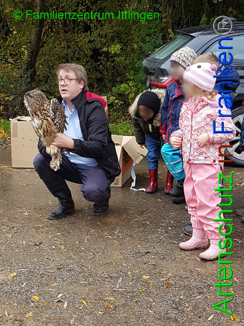 © Artenschutz in Franken® / Familienzentrum Ittlingen Bild zum Eintrag (1037071-160)