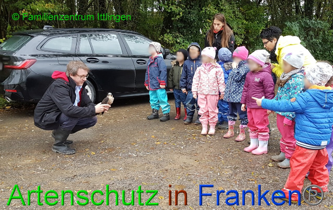 © Artenschutz in Franken® / Familienzentrum Ittlingen Bild zum Eintrag (1037072-160)