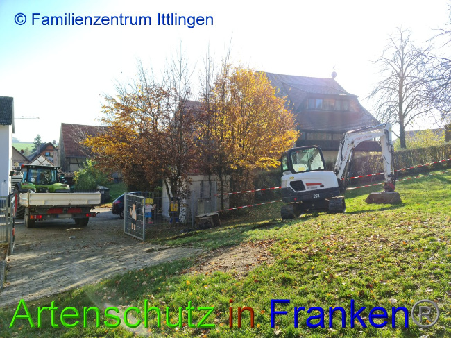 © Artenschutz in Franken® / Familienzentrum Ittlingen Bild zum Eintrag (1037154-160)