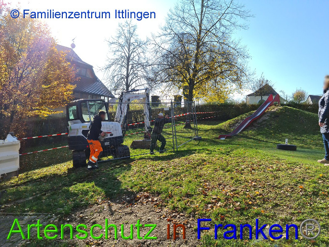 © Artenschutz in Franken® / Familienzentrum Ittlingen Bild zum Eintrag (1037156-160)