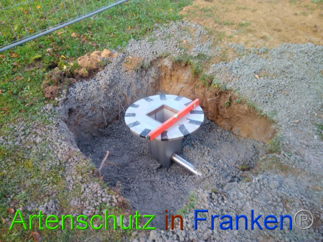 © Artenschutz in Franken® Bild zum Eintrag (1037315-160)