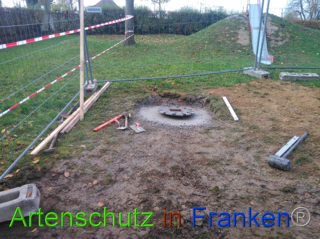 © Artenschutz in Franken® Bild zum Eintrag (1037318-160)
