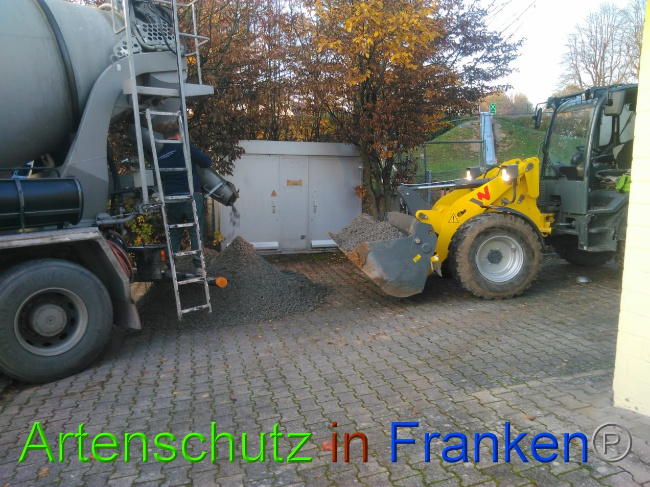 © Artenschutz in Franken® Bild zum Eintrag (1037322-160)