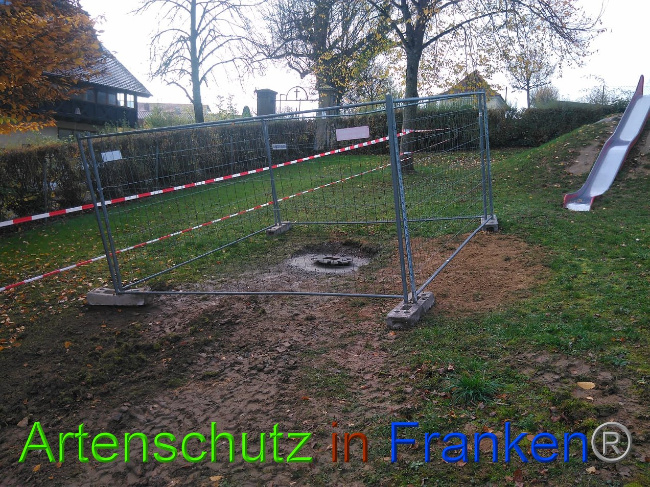 © Artenschutz in Franken® Bild zum Eintrag (1037336-160)