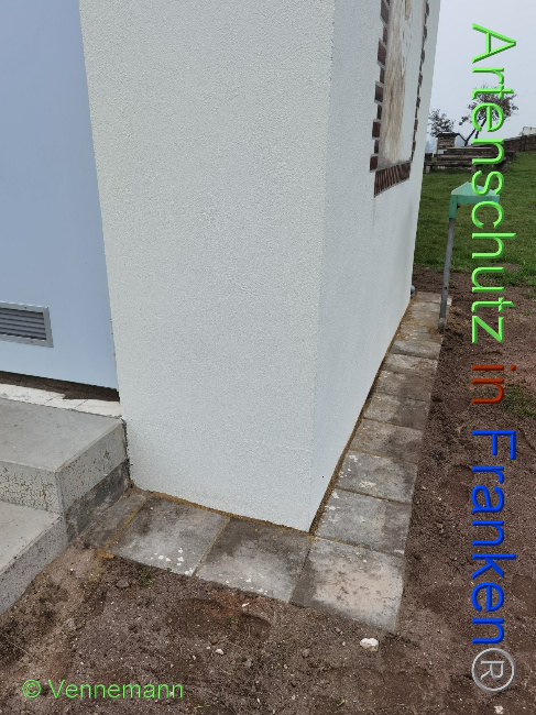 © Artenschutz in Franken® / Vennemann Bild zum Eintrag (1037618-160)