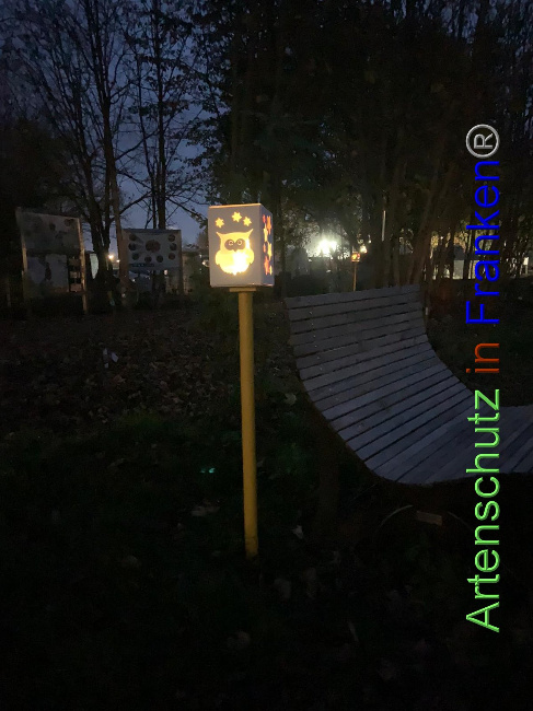 © Artenschutz in Franken® / Michael Sonfeld Bild zum Eintrag (1037738-160)