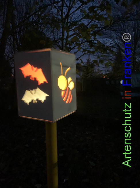 © Artenschutz in Franken® / Michael Sonfeld Bild zum Eintrag (1037739-160)