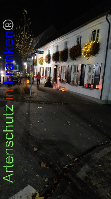 © Artenschutz in Franken® / Michael Sonfeld Bild zum Eintrag (1037741-160)
