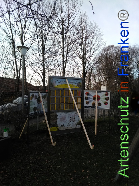 Bild zum Eintrag (1037930-160)